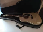 Vintage 2008 Esteban Tribute To Paula Abdul Acoustic/electric Guitar W/case. Fixed Price $399.99.