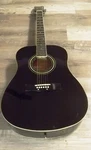 Rosa Black Acoustic Guitar Model GA-410 New In Box. Fixed Price $99.00.
