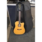 Parkwood PW560 String Acoustic Electric Guitar. Fixed Price $559.99.