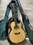 Washburn EA-2000 Millennium Edition Acoustic Electric Guitar Used. Fixed Price $900.00.