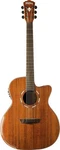 Washburn 6 String Acoustic-electric Guitar, Natural (WCG55CE-O). Fixed Price $999.00.
