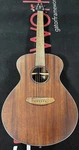 Breedlove Eco Discovery Concert Acoustic Guitar - African Mahogany DSCN01AMAM. Fixed Price $449.00.
