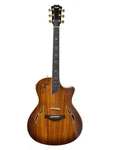 Taylor Eleaco T5-C2 2005 Made With Hard Case Core Used. Fixed Price $3024.01.