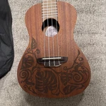 Luna Guitars Mo Concert Acoustic-electric Ukulele Lizard Design. Fixed Price $125.00.