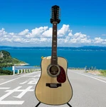 Zuwei 12 String Solid Top Acoustic Electric Guitar Rosewood Fretboard Bone Nut. Fixed Price $425.04.