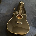 Esteban ALC-200 Black Master Class Cutaway Acoustic Electric Guitar Soft Case. Fixed Price $115.00.