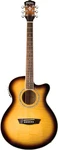 Washburn EA-15 Festival Series Acoustic Electric Guitar. Fixed Price $289.00.