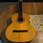 Amigo By Lotus AM50 Acoustic Classical Guitar. Fixed Price $95.00.
