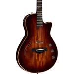 Taylor T5Z Custom Acoustic-electric Guitar Shaded Edge Burst. Fixed Price $3799.00.