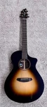 Breedlove Performer Pro Concert Acoustic Electric Guitar, Tobacco Burst. Fixed Price $895.00.