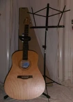 Seagull Entourage Rustic Cw Qi Excursion Nat Sg Acoustic Guitar Never Played. Fixed Price $556.17.