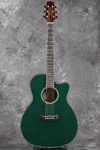 Takamine / LTD2025 Aeg Antique Evergreen Acoustic-electric Guitar. Fixed Price $3058.60.