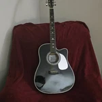 Esteban Reflections Acoustic-electric Guitar Black Dreadnought Mpn 00188/20,000.. Fixed Price $385.00.