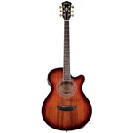 Washburn EA55G-A Festival Series Mini Jumbo 6-STRING Acoustic Guitar, Koa Burst. Fixed Price $379.00.