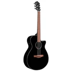 Ibanez AEG50 Acoustic Electric Guitar, Walnut Fretboard, Black High Gloss. Fixed Price $289.99.
