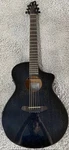 Breedlove Rainforest Concert Abyss African Mahogany Acoustic Electrc Guitar. Fixed Price $479.00.