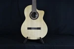 Cordoba C5-CE Sp Nylon String A/e, Int'l Buyers Welcome. Fixed Price $439.99.