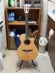 Yamaha NTX-3 Nylon Cutaway Acoustic Electric Guitar. Fixed Price $800.00.
