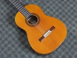 1979 Andres Martin Spain Classical Guitar Rosewood! W/ohsc. Fixed Price $1889.00.
