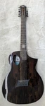 Michael Kelly Forte Port Randy Jackson 12-STRING Acoustic Electric Guitar. Fixed Price $599.99.