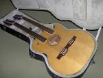 Washburn EA220 Double Neck Guitar 28 Years Old Mint Condition. Fixed Price $2600.00.