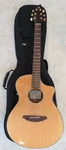 Breedlove AC25/SM 6-STRING Acoustic Electric Guitar With Soft Case. Fixed Price $450.00.