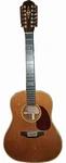 Alvarez 5037 12-STRING Dreadnought Acoustic Guitar Brown. Fixed Price $200.00.