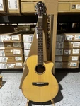 Ibanez AEG200 Acoustic-electric Guitar Natural Low Gloss. Fixed Price $549.99.