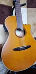 Yamaha Elegat APX-6NA. Fixed Price $941.92.