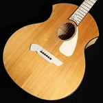 Parker PA24 Acoustic Guitar Used Safe Delivery From Japan. Fixed Price $2415.15.