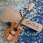 Cole Clark Rdlxanec-clclr Recording Deluxe Acoustic-electric Camphor Laurel Namm. Fixed Price $4299.00.