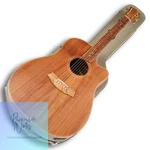 Cole Clark Acoustic Guitar FL2EC-BLBL Dreadnought Model. Fixed Price $1748.47.