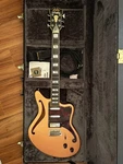 Dangelico Deluxe Bedford Sh Electric Guitar Japanese Vintage Hollow Body. Fixed Price $1776.87.