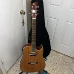 Eleca Electric Acoustic Guitar Model EAG-12N Excellent Condition W/case. Fixed Price $160.00.