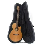Takamine TSP148NC Ns Elegat Guitar Genuine Semi-hard Case #UD2328. Fixed Price $1769.99.