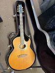Ibanez Euphoria EP9 Steve Vai Acoustic Electric Guitar With Aura Pu & Hard Case. Fixed Price $945.80.