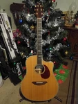 Breedlove Atlas AD25/SR Plus. Fixed Price $525.00.