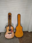 B Rich Vintage Los Angeles 28 Acoustic Guitar. Fixed Price $3000.00.