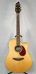 Breedlove Atlas Series AD25/SR Plus Acoustic-electric Guitar Made In Korea 2006. Fixed Price $995.00.