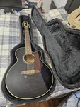 Ibanez - AEL2012E Electro Acoustic Guit Ar With Case 5 Picks New Strings. Fixed Price $650.00.