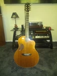 Acoustic Electric Guitar Mcpherson Mg 4.5 Rosewood B/s Redwood Top Lr Baggs RTS2. Fixed Price $7750.00.