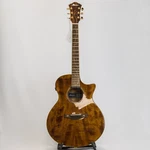 Ibanez AE295LTD-NT Western Guitar. Fixed Price $906.76.