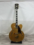 Dangelico Excel EXL-1 Hollow Body Archtop Electric Guitar W/roadrunner Hard Case. Fixed Price $799.99.