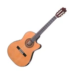 Ibanez 6-STRING Classical Guitar, Right, Natural. Fixed Price $487.41.