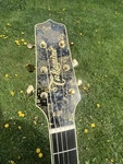 Takamine Miyabi. Fixed Price $4000.00.