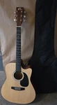 Eleca DAG5CN Dreadnought Acoustic Guitar Spruce 6 String W/ Gig Bag. Fixed Price $125.00.
