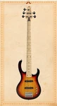 H. Jimenez LBS5-VB Camale String Bass Guitar, Glossy Vintage Burst. Fixed Price $599.00.