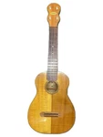 Other Brands Acoustic Guitars Kolomona Concert Pohaku Ukulele Semi Hard Used. Fixed Price $1154.96.