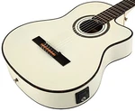 Family Series Pro Thinline Nylon Acoustic Electric Guitar With Bag Solid Top. Fixed Price $499.99.
