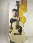 First Act Adam Levine AL363 Designer Series Acoustic Guitar. Fixed Price $60.00.